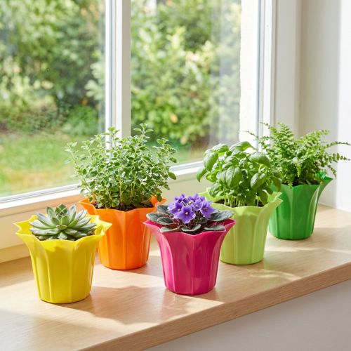Planteringskärl för krukväxter, färgglada assorterade. Ø10,5cm 10 st | Floristik24.se
