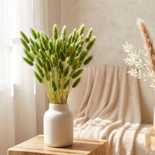 Kaninsvansgräs prydnadsgräs Lagurus olivgrön L65cm 50g | Floristik24.se