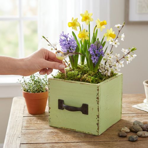 Planteringslåda ljusgrön shabby chic 12,5×12,5×10cm | Floristik24.se