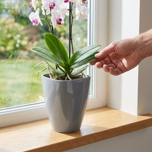 Orkidékruka blank Ø12,5cm grå 1 st | Floristik24.se