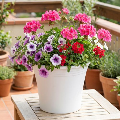 Plastkruka “Irys” vit Ø22cm H18cm 1 st | Floristik24.se