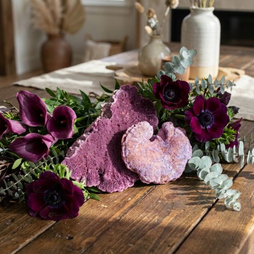 Trädsvamp lila vit tvättad 1kg | Floristik24.se