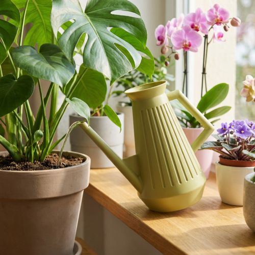 Vattenkanna för inomhusbruk, olivgrön, retrostil, 24,5 cm, 1,8 l, designad vattenkanna, plast, för växtbevattning | Floristik24.se