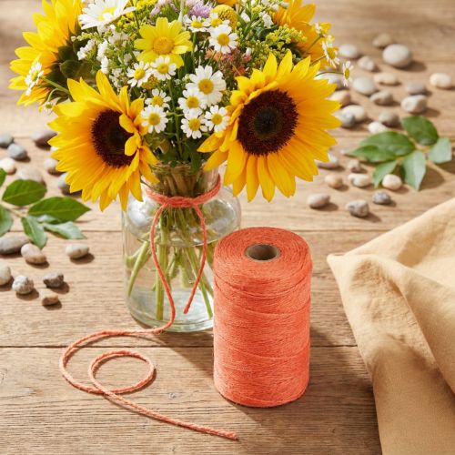 Juteband jutesnöre juteband orange Ø2mm 200m | Floristik24.se