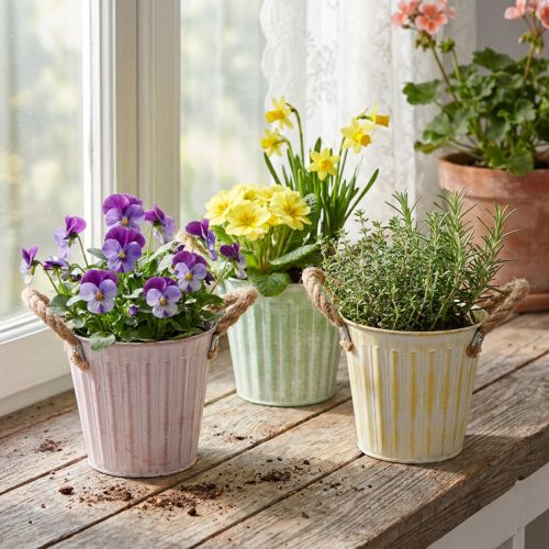 Dekorativ kruka, metallhink för plantering, planteringslåda med handtag, rosa/grön/gul shabby chic Ø15cm H13cm 3-delat set | Floristik24.se