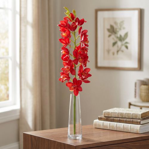 Orchid cymbidium röd 78cm | Floristik24.se