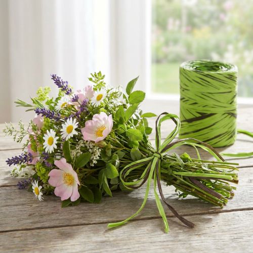 Raffia band grönt, brunt, poly raffia 200m | Floristik24.se