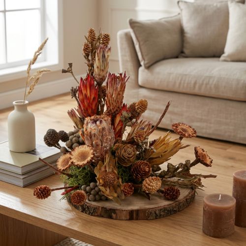 Torkade exotiska proteakottar Bellgum 24–48 cm 580 g - Konstgjord blomdekoration Sydafrika | Floristik24.se