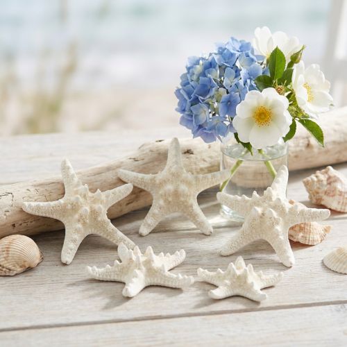 Vita sjöstjärnedekorationer, torkade sjöstjärnor för pyssel 7-11 cm 15 st | Floristik24.se