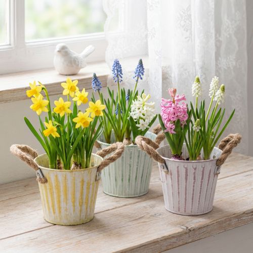 Planteringshink, metallkruka med handtag, dekorativ planteringslåda, rosa/grön/gul, shabby chic, Ø12cm, H10cm, set om 3 | Floristik24.se
