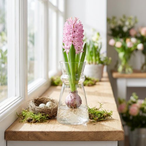 Artikel Glasvas hyacintvas dekorativ vas transparent Ø7cm H13cm