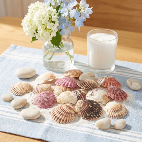 Tom hjärtmusslor i naturlig skaldekor 3cm–5cm 300g | Floristik24.se