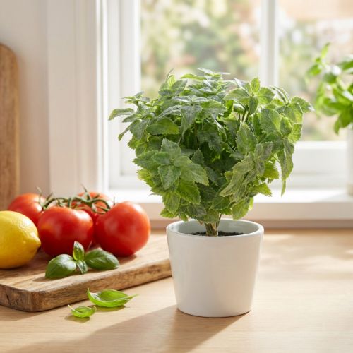 Mint konstgrön 25cm 12 st | Floristik24.se