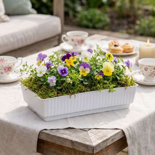 Uttagsskål Lara 15cm x 8cm x 4cm 10st | Floristik24.se