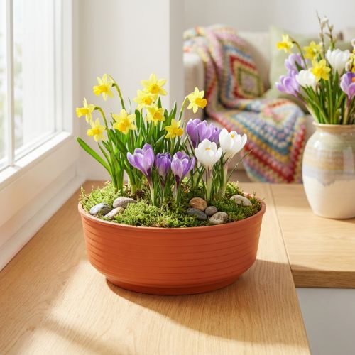 Z-skål plast Ø16cm 10 st | Floristik24.se