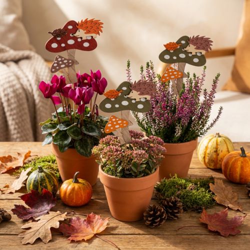 Blompinne Flugsvamp Dekoration Igelkott Höstdekoration 8cm 12 st | Floristik24.se