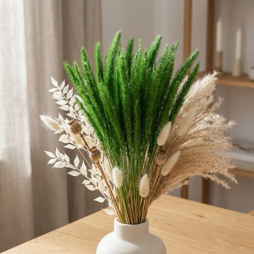 Artikel Grön borst hirs Setaria viridis torrt gräs 52cm 28g