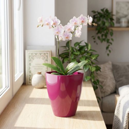 Orkidékruka blank Ø12,5cm körsbär 1 st | Floristik24.se
