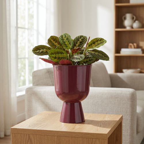 Blomkruka, koppformad, modern stil, dekorativ för alla hem och kontor, 23 cm | Floristik24.se
