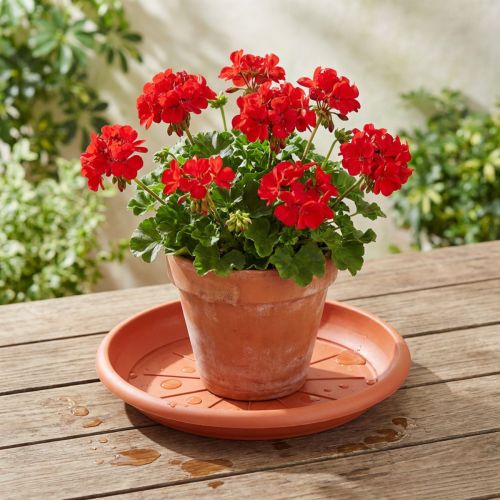 Underlägg “Linda” Ø33cm terrakotta | Floristik24.se