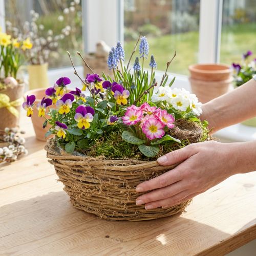 Planteringsskål, rund, vinrankdesign, naturlig, Ø23 cm, H9,5 cm | Floristik24.se
