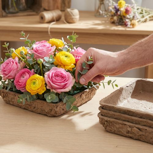 Oasis Biolit Basic Blomskum 13x13x2cm 12-delars set Blomdekoration DIY | Floristik24.se