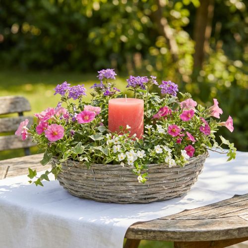 Pilplanter, vit, naturligt utseende, dekorativ ring för kreativ trädgårdsdesign, Ø35/30cm, set om 2, mångsidig | Floristik24.se