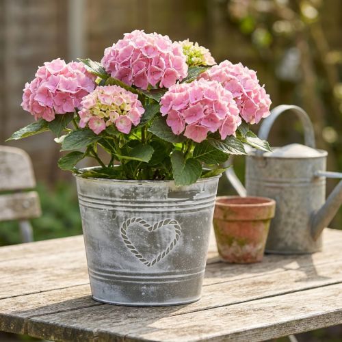 Shabby Chic metallblomkruka med hjärtformad design, Ø22cm, H17.5cm | Floristik24.se