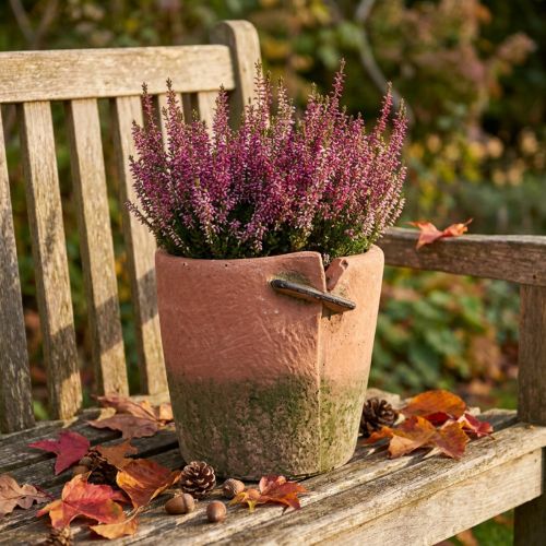 Betongblommarkruka terrakottakruka Ø18cm H17cm | Floristik24.se