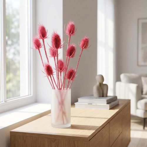 Torkad dekoration av vild teasel, rosa tistlar, 53 cm, 10 huvuden | Floristik24.se