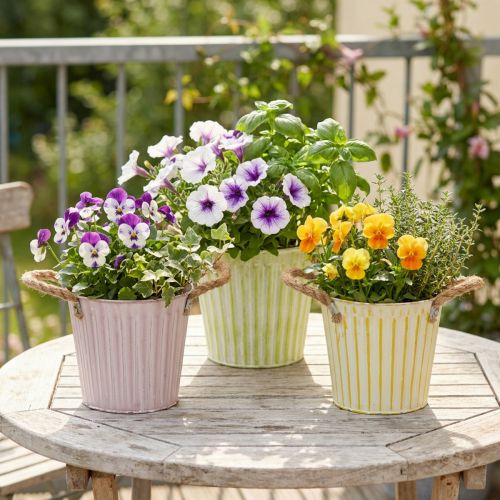 Hink för plantering, kruka med handtag, metalldekoration rosa/grön/gul shabby chic Ø16,5cm H15cm 3-delat set | Floristik24.se