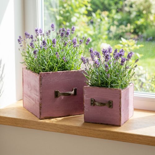 Växtlåda växtlåda trä lila 12,5/16 cm set om 2 | Floristik24.se