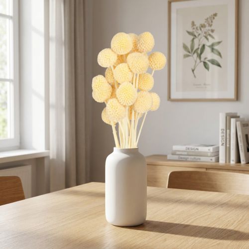 Craspedia Torkade Blommor Krämdekoration 20 st 50-55 cm | Floristik24.se