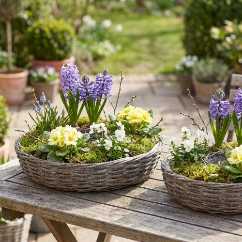 Träringar i rotting, naturgrå, Ø40/45 cm, set om 2. | Floristik24.se