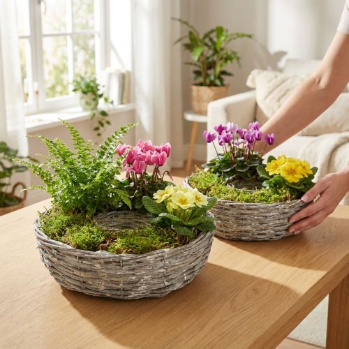 Vit pilplanter, set om 2, Ø25/30 cm, dekorativ för krukväxter | Floristik24.se