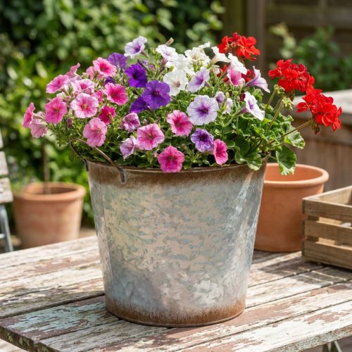 Kruka med handtag, dekorativ skål med rostfinish, silverfärgad metallbehållare Ø26cm H25,5cm | Floristik24.se