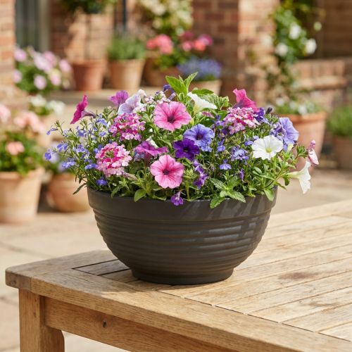 R-skål plast antracit 19cm, 10 st | Floristik24.se