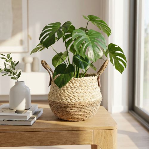 Sjögräskorg tvåfärgad med handtag - Förvarings- och planteringskorg - Naturlig & brun Ø25cm H24cm | Floristik24.se