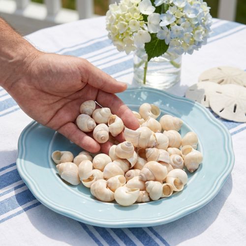 Mussel Umachi 500g | Floristik24.se