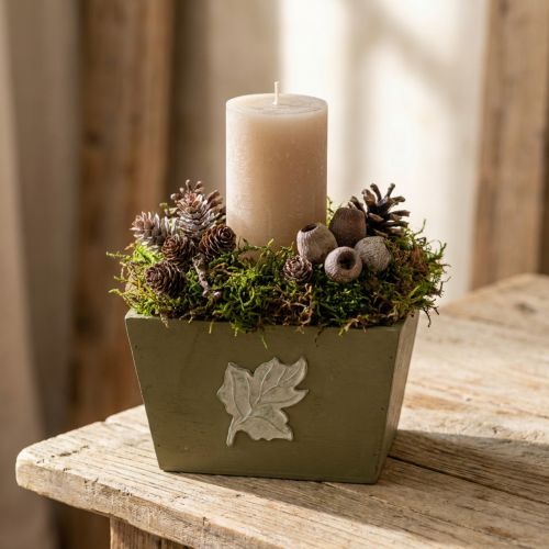 Trälåda i shabby chic-stil, grön, 11×14,5×14 cm | Floristik24.se