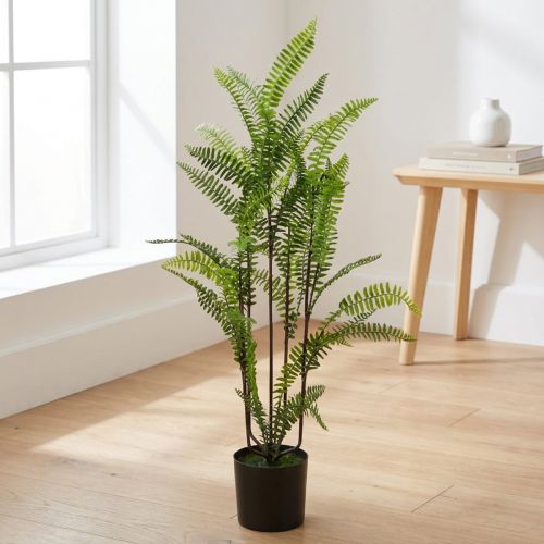 Fern i en kruka grön 80cm | Floristik24.se