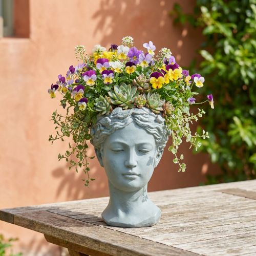 Växthuvudbyst gråblå Ø8cm H15cm | Floristik24.se