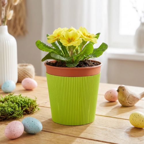 Artikel Veckade muddar till blomkrukor ljusgrön 14,5cm 100 st