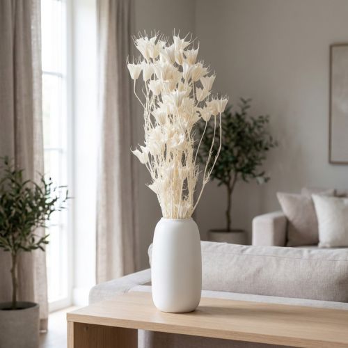 Torkade Nigellablommor, knippe elegant naturlig dekoration för exklusiva interiörer, 70 cm, 50 g | Floristik24.se