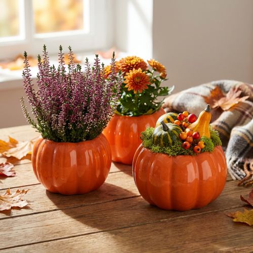 Artikel Kruka i keramik med pumpa, orange, Ø9,5 cm, H6,5 cm, 4 st