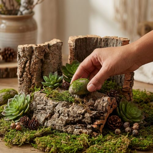 Naturkorkbark 5-delars set för pyssel och dekorationer, 30x20cm | Floristik24.se