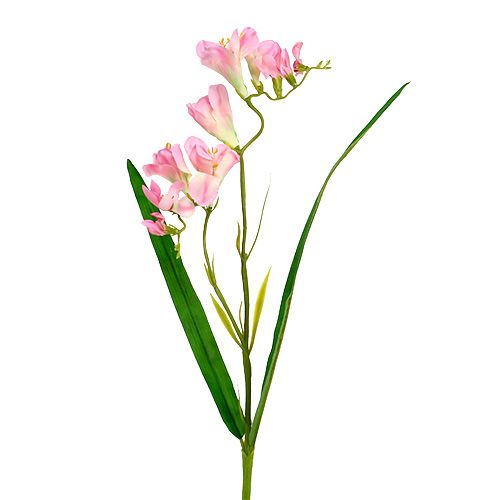 Floristik24 Freesia 56cm rosa 4st