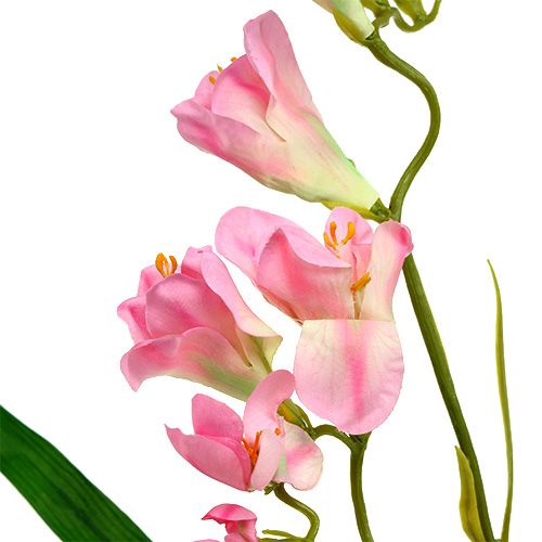 Floristik24 Freesia 56cm rosa 4st