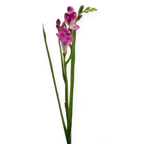 Floristik24 Konstgjord blomma fresie 56cm 3st.