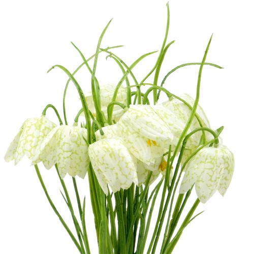 Floristik24 Rutbrädeblommor Fritillaria konstgjord vit, grön 40cm 12 st